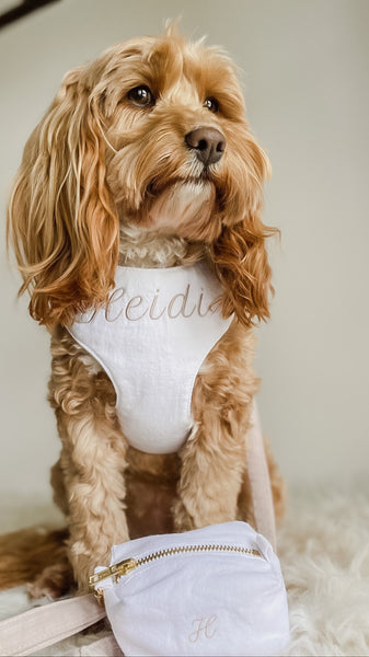 Dog Walk Wear Set - Mr Monty & Me - The Label