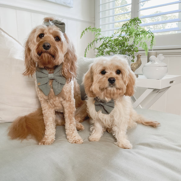 Dog Sailor Bows - Mr Monty & Me - The Label