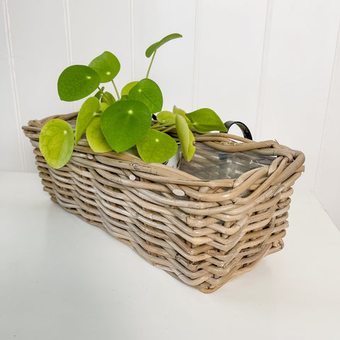Marc Balcony Planter