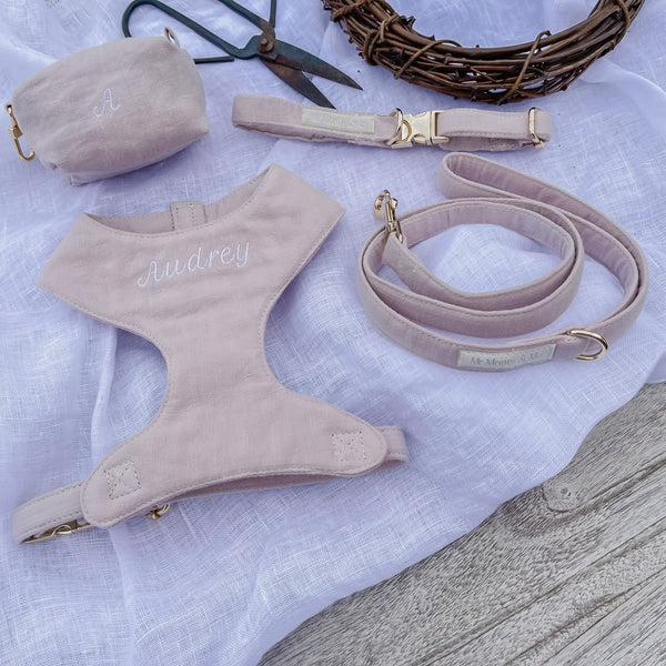 Dog Walk Wear Set - Mr Monty & Me - The Label