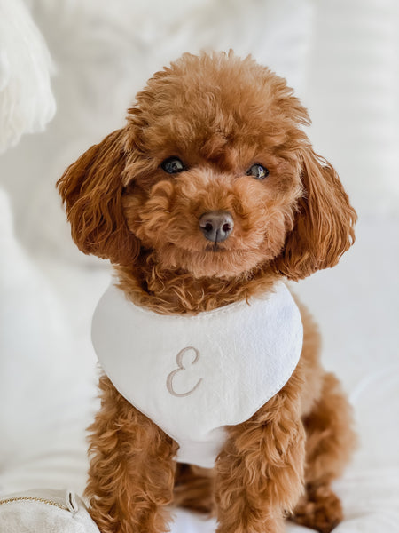 Personalised Linen Dog Harnesses - Mr Monty & Me - The Label