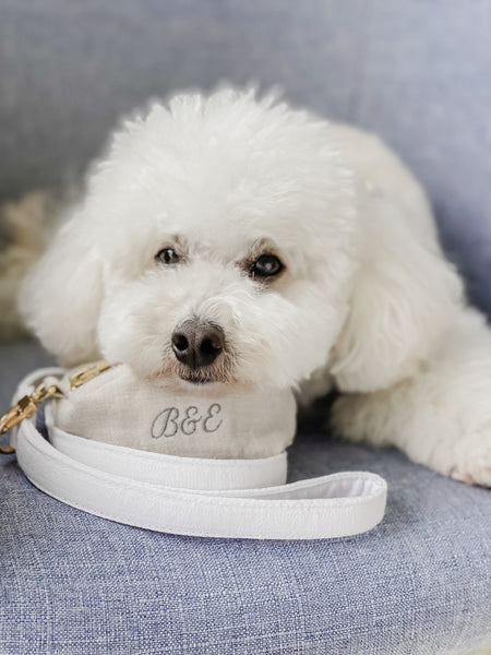 Dog Leads - Mr Monty & Me - The Label