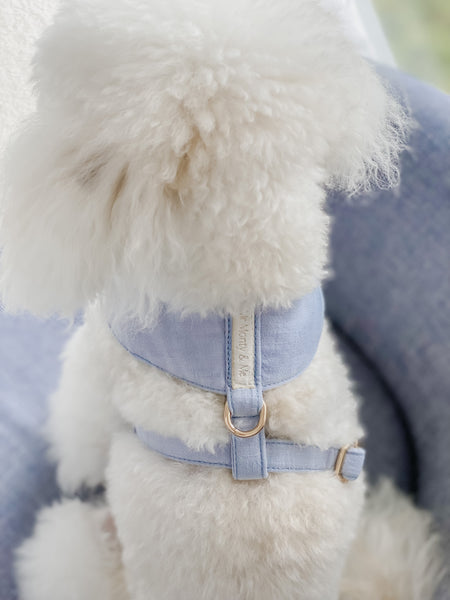 Personalised Linen Dog Harnesses - Mr Monty & Me - The Label