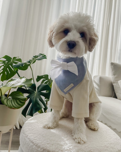 Dog Bandanas - Mr Monty & Me - The Label
