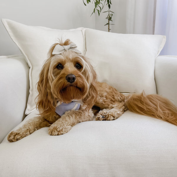 Hair Bows - Mr Monty & Me - The Label
