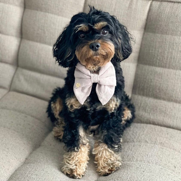 Dog Sailor Bows - Mr Monty & Me - The Label